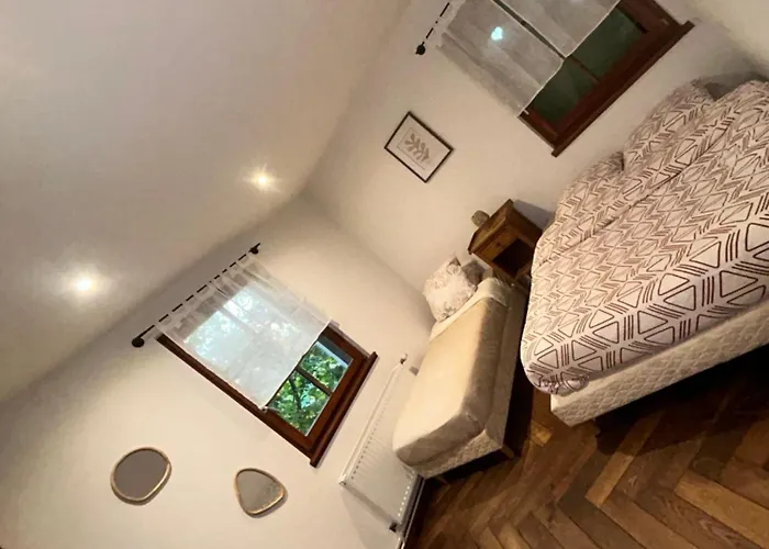 Appartement Typique Alsacien